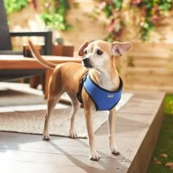 Frisco Padded Step-In Harness -Pet Dog Supplies Shop 287451 PT8. AC SS1800 V1631669389