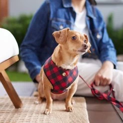 Frisco Fashion Over-The-Head Harness, Blue Plaid -Pet Dog Supplies Shop 287472 PT8. AC SS1800 V1632316407