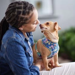 Frisco Fashion Over-The-Head Harness, Tropical Floral -Pet Dog Supplies Shop 287476 PT8. AC SS1800 V1632316953