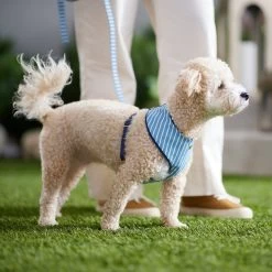 Frisco Fashion Over-The-Head Harness, Striped -Pet Dog Supplies Shop 287479 PT8. AC SS1800 V1632315513