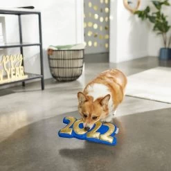 Frisco New Year's Eve 2022 Plush Squeaky Dog Toy -Pet Dog Supplies Shop 288476 PT3. AC SS1800 V1638287927