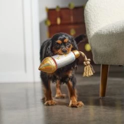 Frisco Firework Plush With Rope Squeaky Dog Toy -Pet Dog Supplies Shop 288480 PT3. AC SS1800 V1638291301