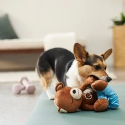 Frisco Yoga Bear Plush Squeaky Dog Toy 5 Frisco Yoga Bear Plush Squeaky Dog Toy -Pet Dog Supplies Shop 288903 PT3. AC SS1800 V1638288516
