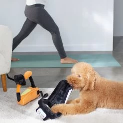 Frisco Treadmill & Bike Plush Squeaky Dog Toy, 2 Count -Pet Dog Supplies Shop 288921 PT3. AC SS1800 V1638290517