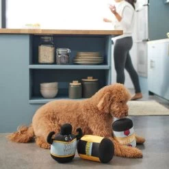 Frisco New Year, New Me Protein Powder Plush Squeaky Dog Toy -Pet Dog Supplies Shop 288925 PT3. AC SS1800 V1638289658