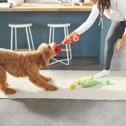 Frisco New Year, New Me Juice Cleanse Plush Squeaky Dog Toy 5 Frisco New Year, New Me Juice Cleanse Plush Squeaky Dog Toy -Pet Dog Supplies Shop 288929 PT3. AC SS1800 V1638289348