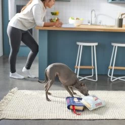 Frisco Cookbooks Plush Squeaky Dog Toy, 2 Count -Pet Dog Supplies Shop 288937 PT3. AC SS1800 V1638287852