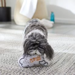 Frisco Message Bubble Plush Squeaky Dog Toy -Pet Dog Supplies Shop 288941 PT3. AC SS1800 V1638289328