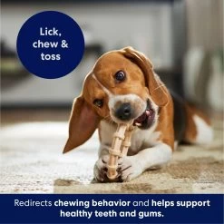 Frisco Ring Tough Nylon Chew Dog Toy, Chicken Flavor 10 Frisco Ring Tough Nylon Chew Dog Toy, Chicken Flavor -Pet Dog Supplies Shop 290533 PT4. AC SS1800 V1695760990