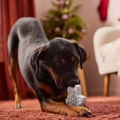 Frisco Holiday Nylon Snowflake Dog Chew Toy, Peanut Butter Flavor, Medium -Pet Dog Supplies Shop 291387 PT3. AC SS1800 V1629306692