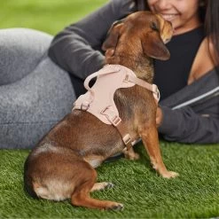 Frisco Comfort Padded Dog Harness -Pet Dog Supplies Shop 291539 PT8. AC SS1800 V1650490890