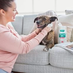 Frisco Gentle Cleaning Waterless Grooming Wipes For Puppies & Kittens, Green Tea Scent -Pet Dog Supplies Shop 291592 PT4. AC SS1800 V1627306695