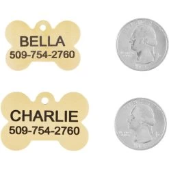 Frisco Brass Personalized Dog ID Tag -Pet Dog Supplies Shop 296191 PT5. AC SS1800 V1628186578