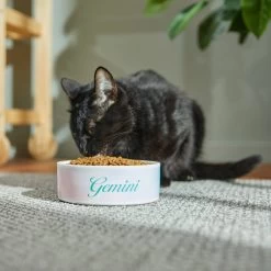 Frisco Watercolors Ceramic Personalized Dog Bowl -Pet Dog Supplies Shop 296664 PT3. AC SS1800 V1625764646