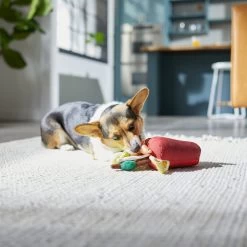 Frisco Brunch Bloody Mary Plush Squeaky Dog Toy -Pet Dog Supplies Shop 297228 PT2. AC SS1800 V1642088343