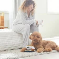 Frisco Brunch Teacup Plush Squeaky Dog Toy -Pet Dog Supplies Shop 297232 PT3. AC SS1800 V1642087957