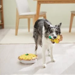 Frisco Brunch Quiche 2-in-1 Plush Squeaky Dog Toy -Pet Dog Supplies Shop 297248 PT3. AC SS1800 V1642089163