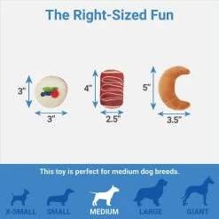 Frisco Brunch Pastry Plate Plush Squeaky Dog Toy 6 Frisco Brunch Pastry Plate Plush Squeaky Dog Toy -Pet Dog Supplies Shop 297262 PT2. AC SS1800 V1643916710