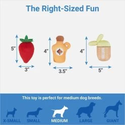 Frisco Brunch Pancake Hide & Seek Puzzle Plush Squeaky Dog Toy -Pet Dog Supplies Shop 297266 PT2. AC SS1800 V1643916712