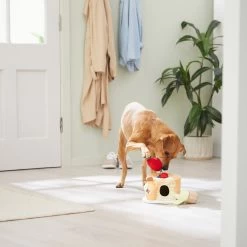 Frisco Brunch Pancake Hide & Seek Puzzle Plush Squeaky Dog Toy -Pet Dog Supplies Shop 297266 PT3. AC SS1800 V1642087986