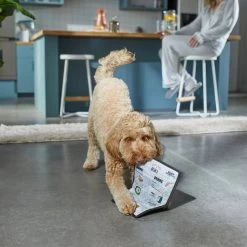 Frisco Brunch Menu Ballistic Nylon Flat Plush Squeaky Dog Toy 5 Frisco Brunch Menu Ballistic Nylon Flat Plush Squeaky Dog Toy -Pet Dog Supplies Shop 297276 PT2. AC SS1800 V1642088788