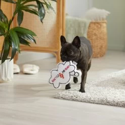 Frisco Brunch Word Bubble Plush Squeaky Dog Toy -Pet Dog Supplies Shop 297286 PT3. AC SS1800 V1642087915