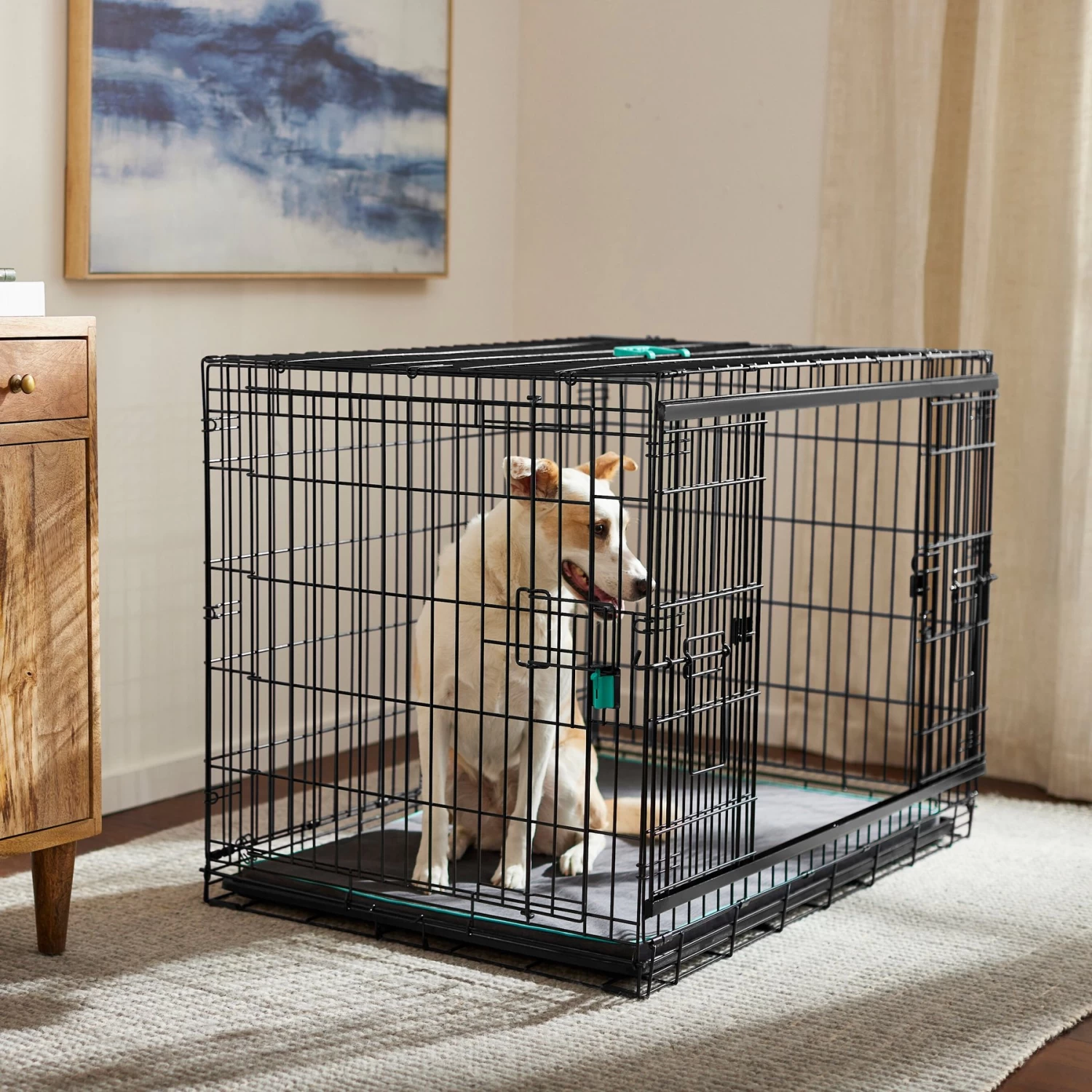 Frisco Heavy Duty Enhanced Lock Sliding Double Door Fold & Carry Wire Dog Crate & Mat Kit 1 Frisco Heavy Duty Enhanced Lock Sliding Double Door Fold & Carry Wire Dog Crate & Mat Kit