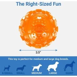 Frisco Fetch Squeaky TPR Ball Dog Toy & Bones & Chews Pig Ear Chews Dog Treats 7 Frisco Fetch Squeaky TPR Ball Dog Toy & Bones & Chews Pig Ear Chews Dog Treats -Pet Dog Supplies Shop 297964 PT2. AC SS1800 V1623255143