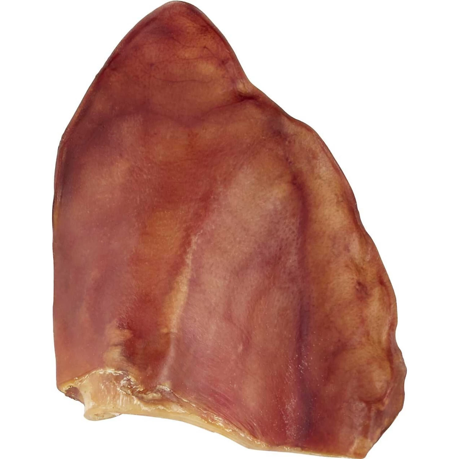 Frisco Fetch Squeaky TPR Ball Dog Toy & Bones & Chews Pig Ear Chews Dog Treats 5 Frisco Fetch Squeaky TPR Ball Dog Toy & Bones & Chews Pig Ear Chews Dog Treats - Image 5