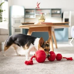 Frisco Lunar New Year Lantern Plush With Rope Squeaky Dog Toy -Pet Dog Supplies Shop 298885 PT3. AC SS1800 V1640269279