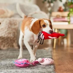 Frisco Valentine Love Monsters Plush Squeaky Dog Toy -Pet Dog Supplies Shop 298931 PT3. AC SS1800 V1701365187