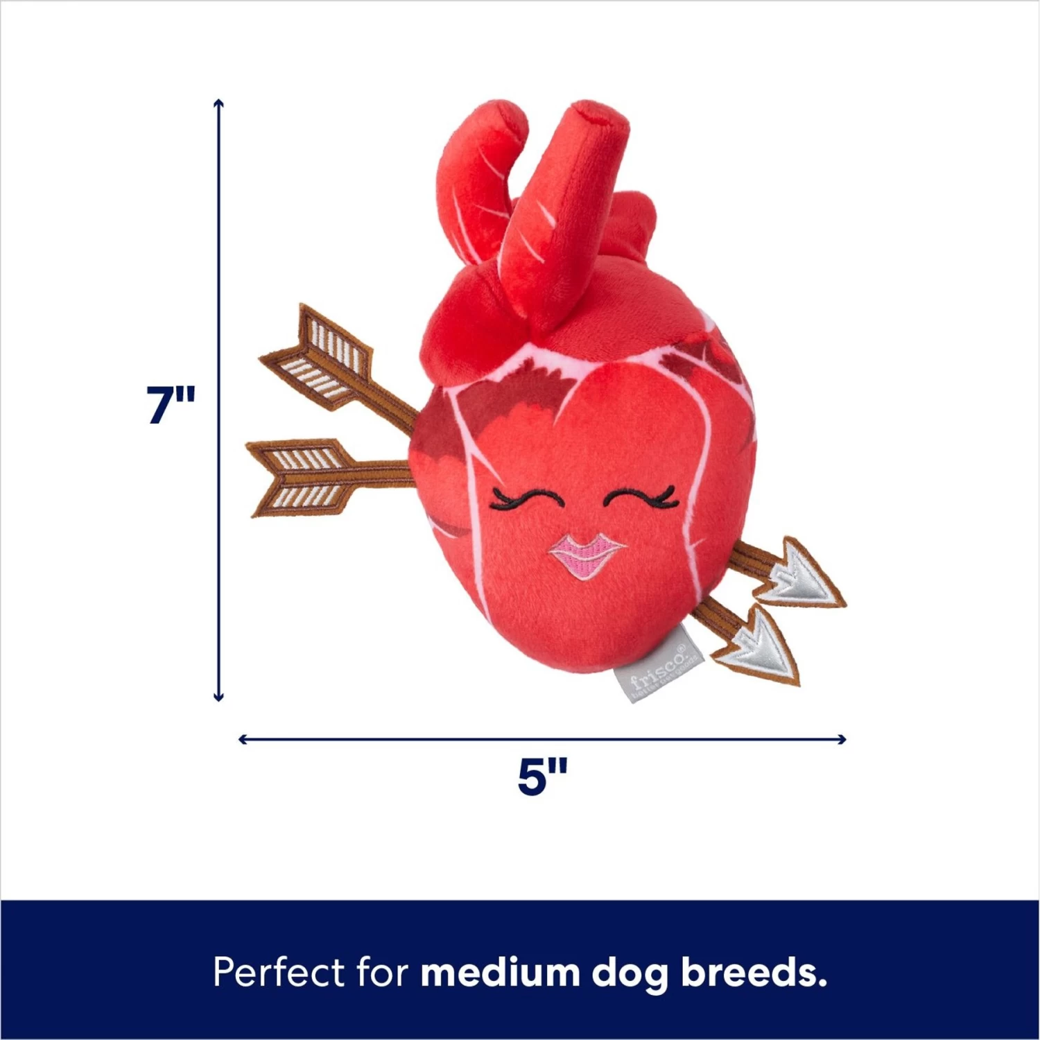 Frisco Valentine Anatomical Heart Plush Squeaky Dog Toy 2 Frisco Valentine Anatomical Heart Plush Squeaky Dog Toy - Image 2