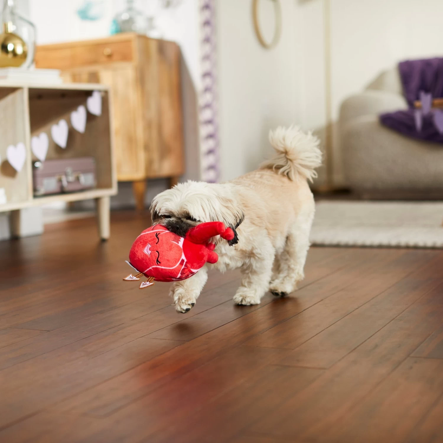 Frisco Valentine Anatomical Heart Plush Squeaky Dog Toy 3 Frisco Valentine Anatomical Heart Plush Squeaky Dog Toy - Image 3