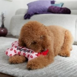 Frisco Valentine My First Valentine's Bone Reversible Plush Squeaky Dog Toy 8 Frisco Valentine My First Valentine's Bone Reversible Plush Squeaky Dog Toy -Pet Dog Supplies Shop 298945 PT3. AC SS1800 V1638987722