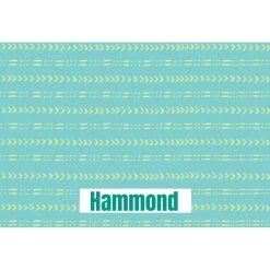 Frisco Mudcloth Personalized Dog & Cat Placemat 7 Frisco Mudcloth Personalized Dog & Cat Placemat -Pet Dog Supplies Shop 299552 PT2. AC SS1800 V1636048646