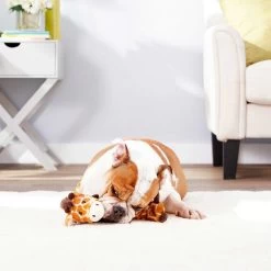 Frisco Giraffe Bungee Plush Squeaky Dog Toy & Frisco Sloth Bungee Plush Squeaky Dog Toy 13 Frisco Giraffe Bungee Plush Squeaky Dog Toy & Frisco Sloth Bungee Plush Squeaky Dog Toy -Pet Dog Supplies Shop 302402 PT4. AC SS1800 V1623089556