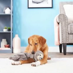 Frisco Giraffe Bungee Plush Squeaky Dog Toy & Frisco Sloth Bungee Plush Squeaky Dog Toy 17 Frisco Giraffe Bungee Plush Squeaky Dog Toy & Frisco Sloth Bungee Plush Squeaky Dog Toy -Pet Dog Supplies Shop 302402 PT8. AC SS1800 V1623091941