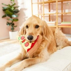 Frisco Pizza Slice Plush Squeaky Dog Toy & Frisco Taco Plush Squeaky Dog Toy -Pet Dog Supplies Shop 302494 PT3. AC SS1800 V1623051762