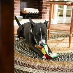 Frisco Pizza Slice Plush Squeaky Dog Toy & Frisco Taco Plush Squeaky Dog Toy -Pet Dog Supplies Shop 302494 PT6. AC SS1800 V1623071256