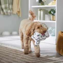 Frisco St. Patrick's Thought Bubble Reversible Plush Squeaky Dog Toy 10 Frisco St. Patrick's Thought Bubble Reversible Plush Squeaky Dog Toy -Pet Dog Supplies Shop 303134 PT4. AC SS1800 V1702500565