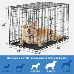 Frisco Fold & Carry Double Door Collapsible Wire Dog Crate & Mat Kit & Frisco Stainless Steel Bowl -Pet Dog Supplies Shop 303428 PT2. AC SS1800 V1623055045