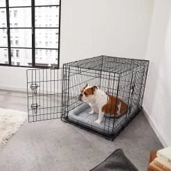 Frisco Fold & Carry Double Door Collapsible Wire Dog Crate & Mat Kit & Frisco Stainless Steel Bowl -Pet Dog Supplies Shop 303428 PT4. AC SS1800 V1623089543