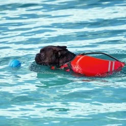 Frisco Shark Dog Life Jacket & Frisco Foam Rubber Floating Fetch Ball No Squeak Dog Toy -Pet Dog Supplies Shop 303590 PT7. AC SS1800 V1623040948