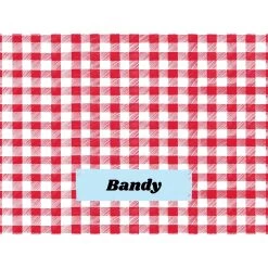 Frisco Personalized Gingham Plaid Sherpa Cat & Dog Blanket, 30" X 40" 10 Frisco Personalized Gingham Plaid Sherpa Cat & Dog Blanket, 30" X 40" -Pet Dog Supplies Shop 303834 PT4. AC SS1800 V1637610144