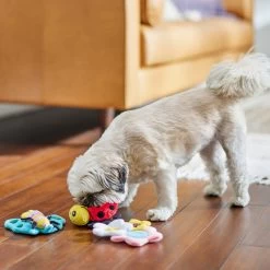 Frisco Spring Pack Plush Squeaky Dog Toy 8 Frisco Spring Pack Plush Squeaky Dog Toy -Pet Dog Supplies Shop 304950 PT4. AC SS1800 V1703184715