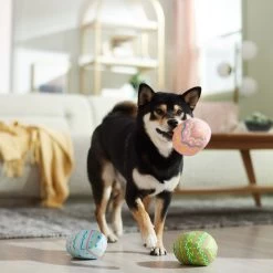 Frisco Easter Eggs Plush Squeaky Dog Toy -Pet Dog Supplies Shop 304954 PT4. AC SS1800 V1702500565