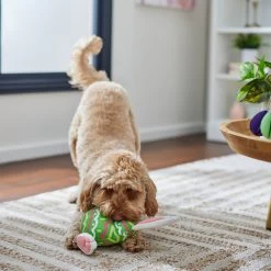 Frisco Easter Bunny Egg Plush Squeaky Dog Toy -Pet Dog Supplies Shop 304960 PT4. AC SS1800 V1702500564