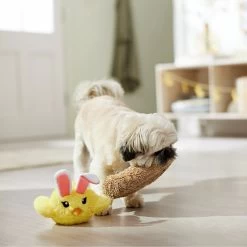 Frisco Easter Chick In Nest 2-in-1 Plush Squeaky Dog Toy 8 Frisco Easter Chick In Nest 2-in-1 Plush Squeaky Dog Toy -Pet Dog Supplies Shop 304962 PT4. AC SS1800 V1702500565