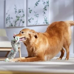 Frisco Easter Bunny Plush With Rope Squeaky Dog Toy -Pet Dog Supplies Shop 304974 PT4. AC SS1800 V1702500566