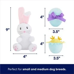 Frisco Easter Basket Hide & Seek Puzzle Plush Squeaky Dog Toy -Pet Dog Supplies Shop 304982 PT2. AC SS1800 V1702665735